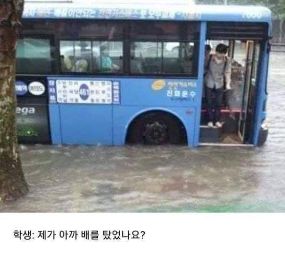 학생 : 제가 아까 배를 탔었나요?